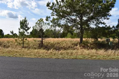 57 Malden Court, Crouse, NC 28033 - Photo 2