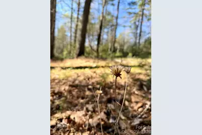 400 Emerald Hills Drive, Pisgah Forest, NC 28766 - Photo 10