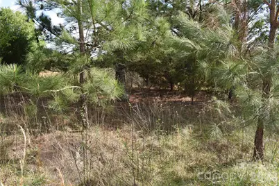 58 Malden Court, Crouse, NC 28033 - Photo 10