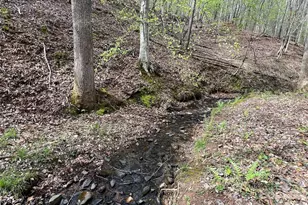 391 Clearwater Creek Pkwy, Rutherfordton, NC 28139 - Photo 48