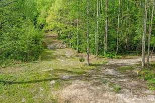 168 Robert Church Rd, Ellenboro, NC 28040 - Photo 26