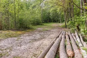 168 Robert Church Rd, Ellenboro, NC 28040 - Photo 18