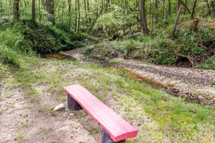 168 Robert Church Rd, Ellenboro, NC 28040 - Photo 20