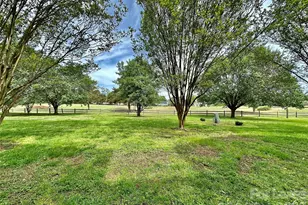 10240 Rose Meadow Ln, Charlotte, NC 28277 - Photo 2