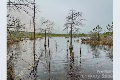 0 Lobelia Road, Vass, NC 28394 - Photo 22