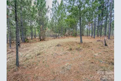 0 Lobelia Road, Vass, NC 28394 - Photo 36