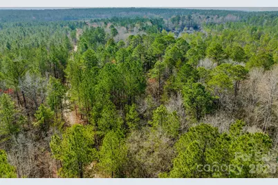 0 Lobelia Road, Vass, NC 28394 - Photo 44