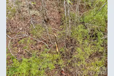 0 Lobelia Road, Vass, NC 28394 - Photo 40