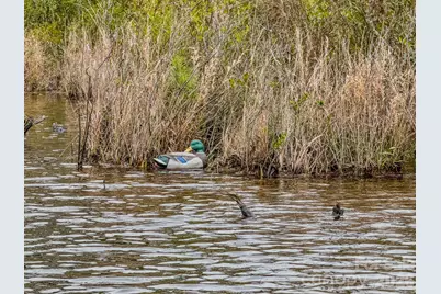 0 Lobelia Road, Vass, NC 28394 - Photo 18