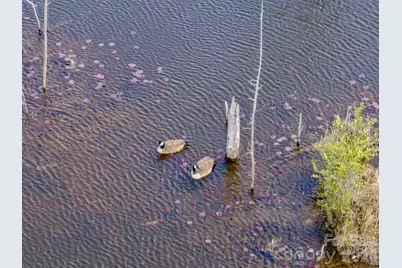 0 Lobelia Road, Vass, NC 28394 - Photo 2