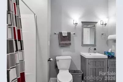 161 Birchwood Drive, Hendersonville, NC 28739 - Photo 28