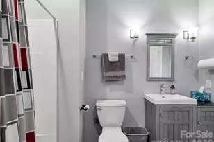 161 Birchwood Dr, Hendersonville, NC 28739 - Photo 28