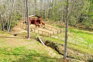 282 N Chase Ln, Rutherfordton, NC 28139 - Photo 22