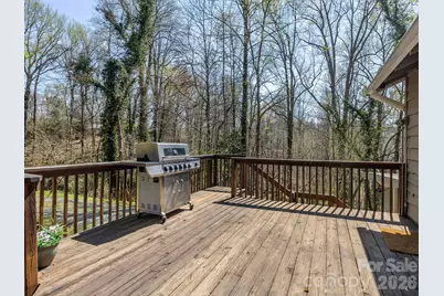 7 Rippy Hill Lane, Tryon, NC 28782 - Photo 8