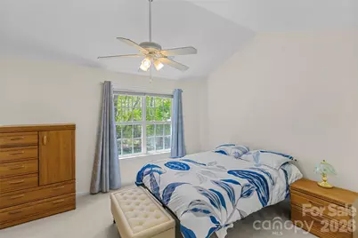 8733 Robinson Forest Drive, Charlotte, NC 28277 - Photo 24