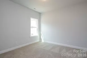 1007 Penarth Dr, Catawba, NC 28609 - Photo 20