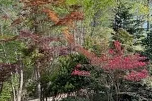 2276 Nature Ln, Lenoir, NC 28645 - Photo 6