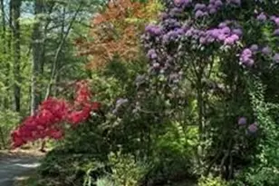 2276 Nature Ln, Lenoir, NC 28645 - Photo 4