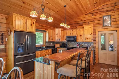 153 Brandy Ridge, Brevard, NC 28712 - Photo 4