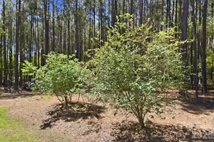 516 Flying Eagle Dr, Clover, SC 29710 - Photo 36