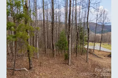 220 Simply Grateful Drive, Hendersonville, NC 28792 - Photo 8