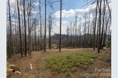 220 Simply Grateful Drive, Hendersonville, NC 28792 - Photo 10