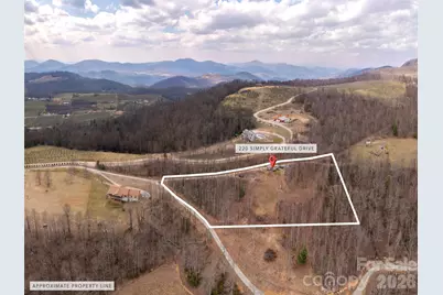 220 Simply Grateful Drive, Hendersonville, NC 28792 - Photo 14