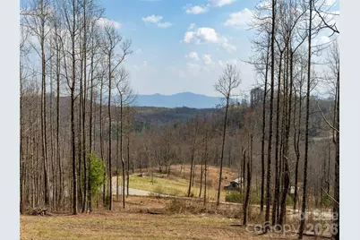 220 Simply Grateful Drive, Hendersonville, NC 28792 - Photo 6