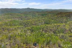 178 Table Rock Dr, Saluda, NC 28773 - Photo 46