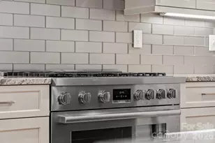 455 Blue Mist Way, Arden, NC 28704 - Photo 8