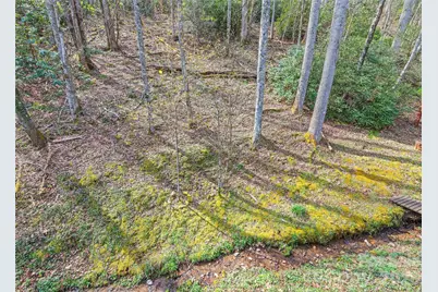 41 Trapper Lane, Waynesville, NC 28785 - Photo 30