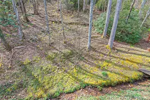 41 Trapper Ln, Waynesville, NC 28785 - Photo 30