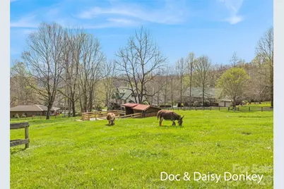 41 Trapper Lane, Waynesville, NC 28785 - Photo 36