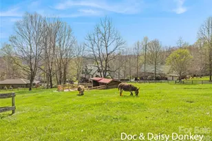 41 Trapper Ln, Waynesville, NC 28785 - Photo 36