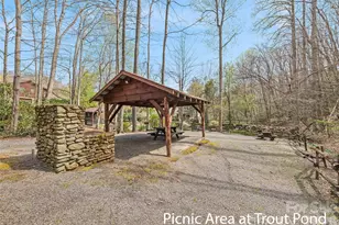 41 Trapper Ln, Waynesville, NC 28785 - Photo 38
