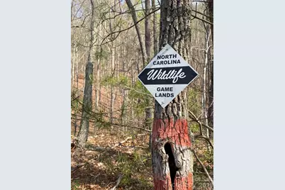 00 Cane Creek Mountain Road #2, Bostic, NC 28018 - Photo 8