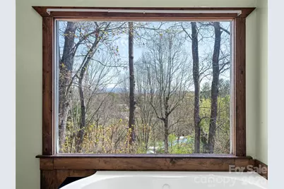 6 Jackson Cove Road, Leicester, NC 28748 - Photo 40