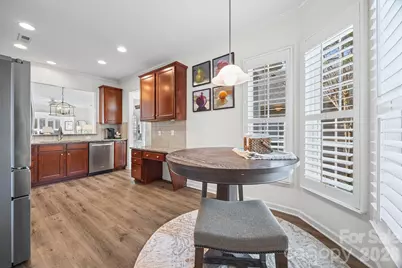 20238 Dovekie Lane, Indian Land, SC 29707 - Photo 10