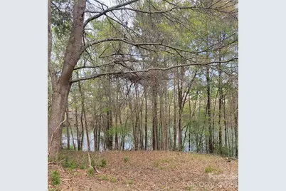 230 Walnut Street, Belmont, NC 28012 - Photo 2