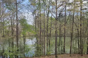 230 Walnut St, Belmont, NC 28012 - Photo 1