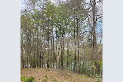 230 Walnut Street, Belmont, NC 28012 - Photo 4