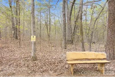 1003 Camp Creek Road, Union Mills, NC 28167 - Photo 42