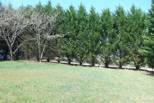 2184 Stove Dr, Newton, NC 28658 - Photo 6