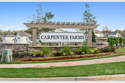 949 Hallman Branch Lane, Lincolnton, NC 28092 - Photo 6