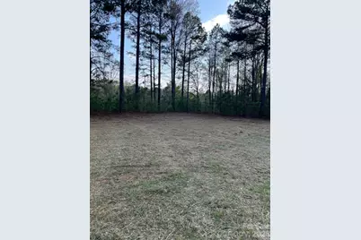 1264 Worthys Ferry Road, Chester, SC 29706 - Photo 4