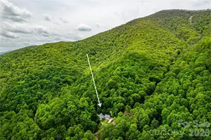 58 Great Aspen Way, Black Mountain, NC 28711 - Photo 4