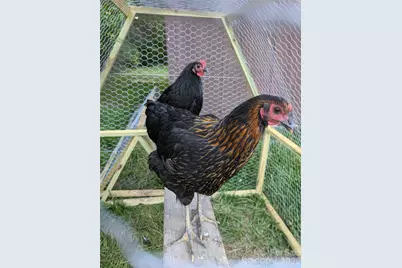 2200 Simmons Street, Gastonia, NC 28052 - Photo 34