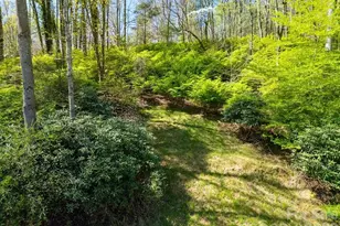 1482 Island Ford Rd, Brevard, NC 28712 - Photo 40