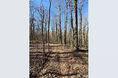 1417 Ellis Griffin Road, Wingate, NC 28174 - Photo 4