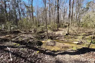 1417 Ellis Griffin Rd, Wingate, NC 28174 - Photo 1